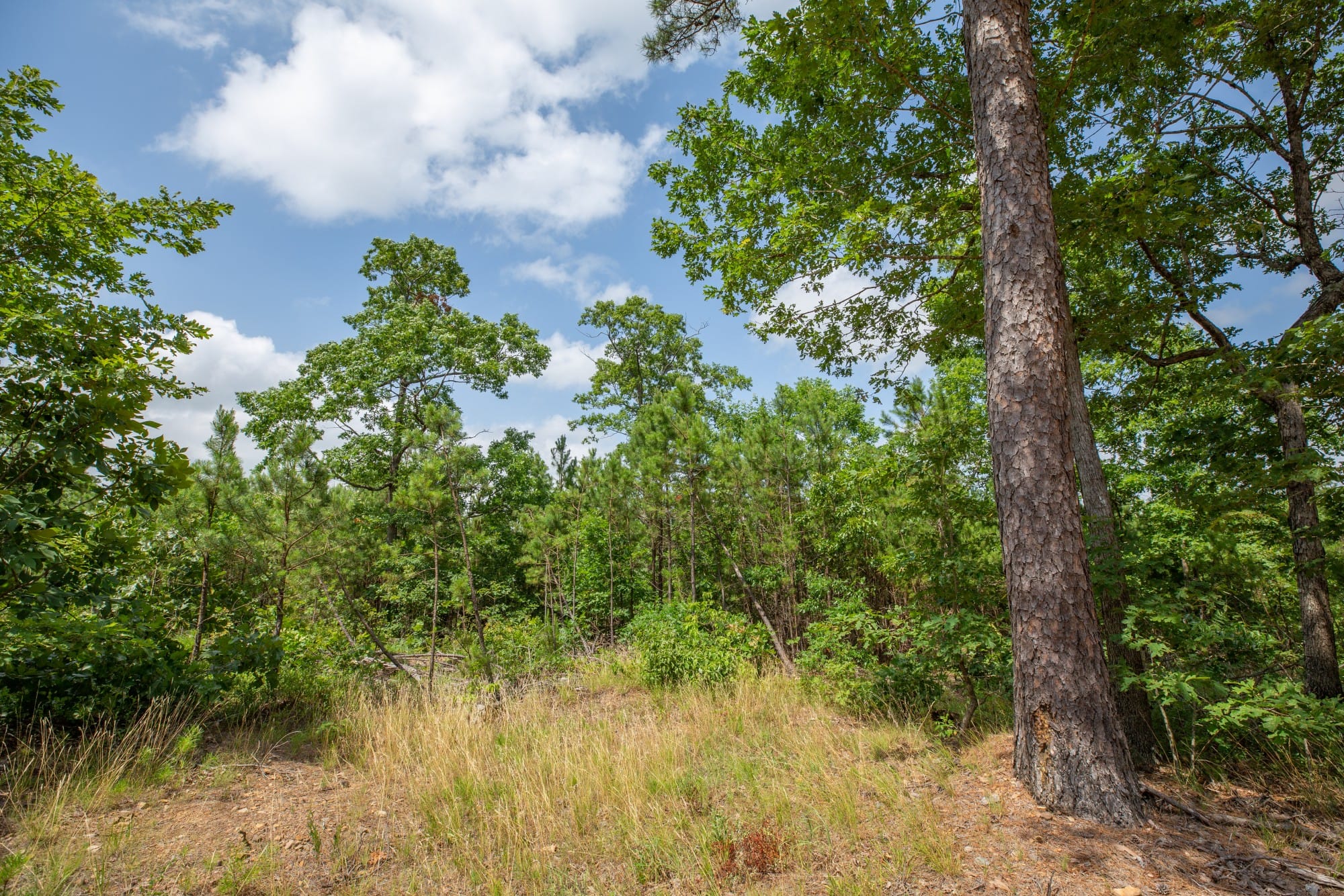 Eagle’s Nest Tract 30 photo 7