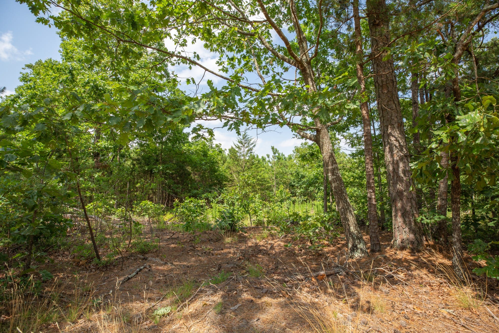 Eagle’s Nest Tract 30 photo 9