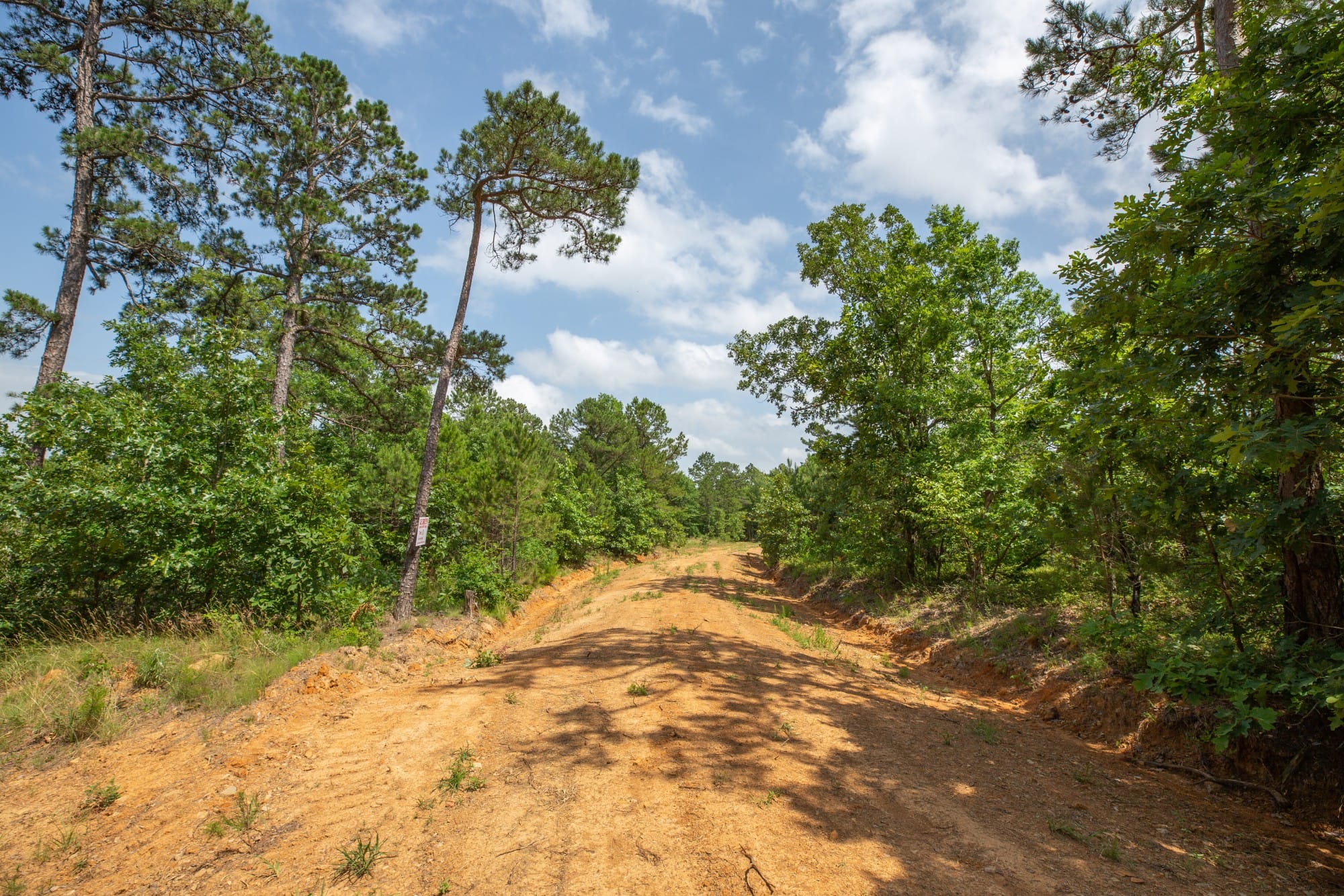 Eagle’s Nest Tract 30 photo 6