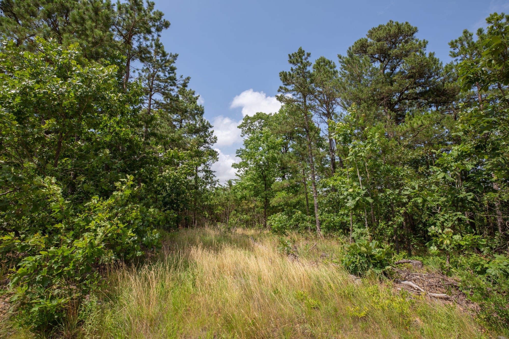 Eagle’s Nest Tract 30 photo 13