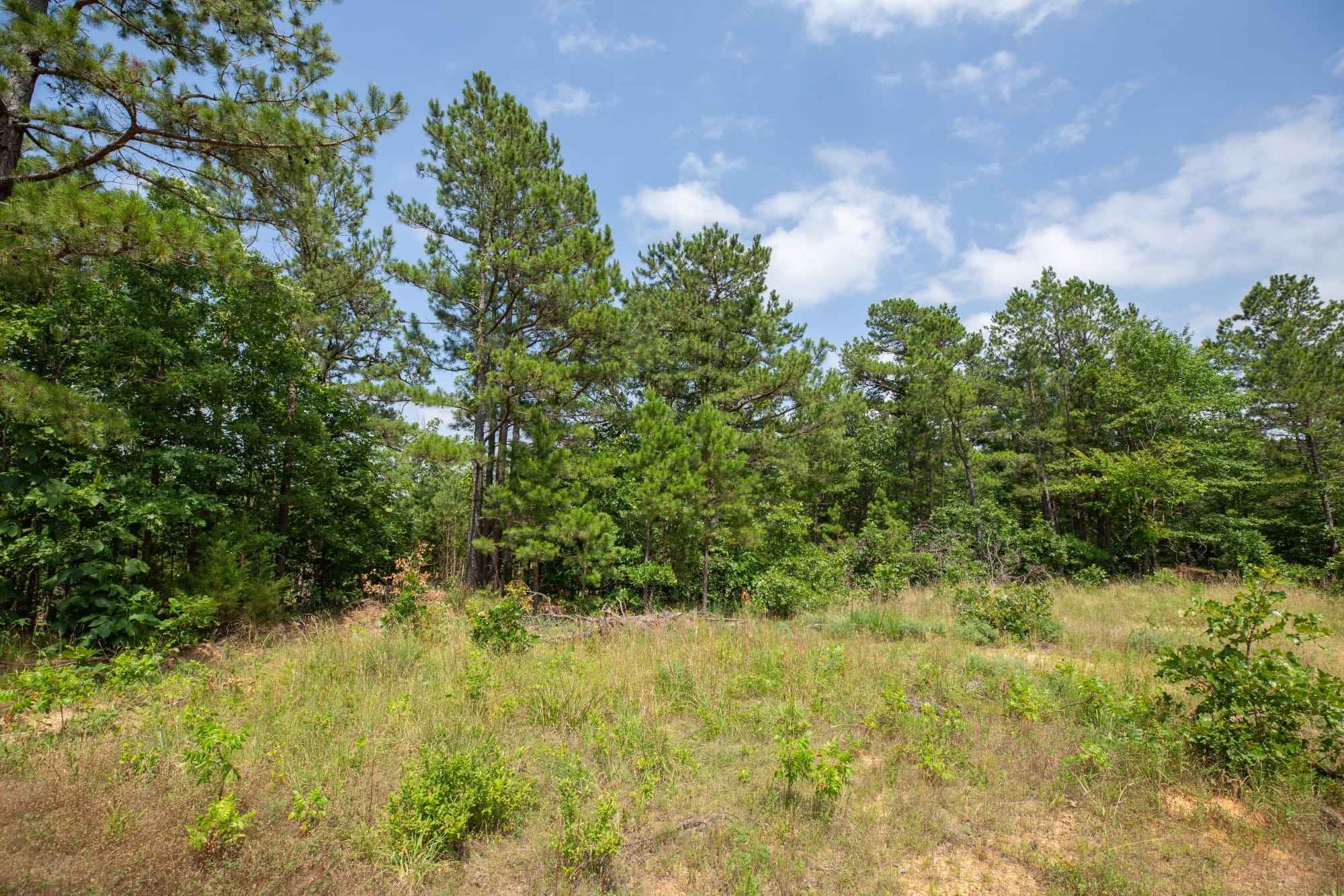 Eagle’s Nest Tract 30 photo 14