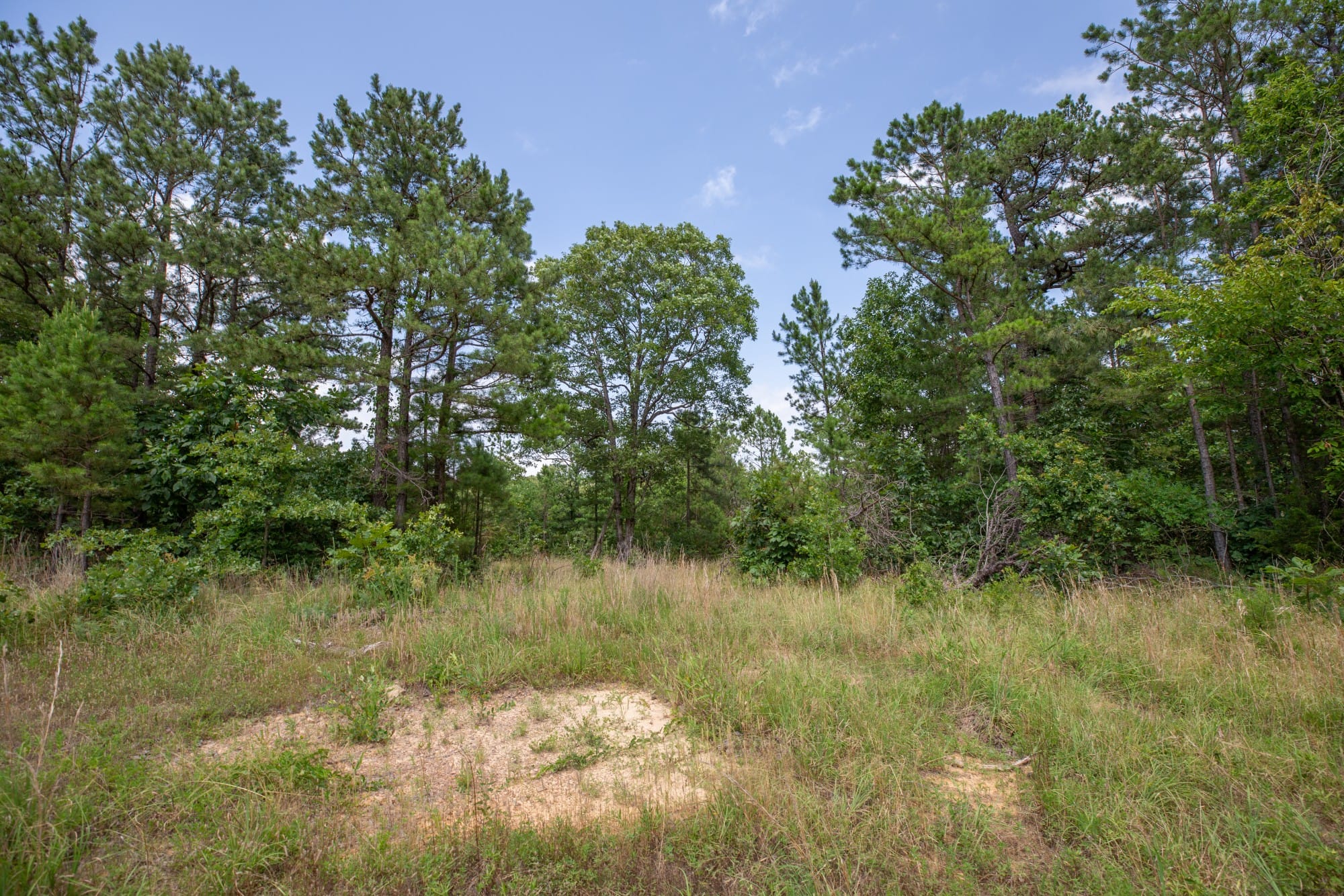 Eagle’s Nest Tract 30 photo 15