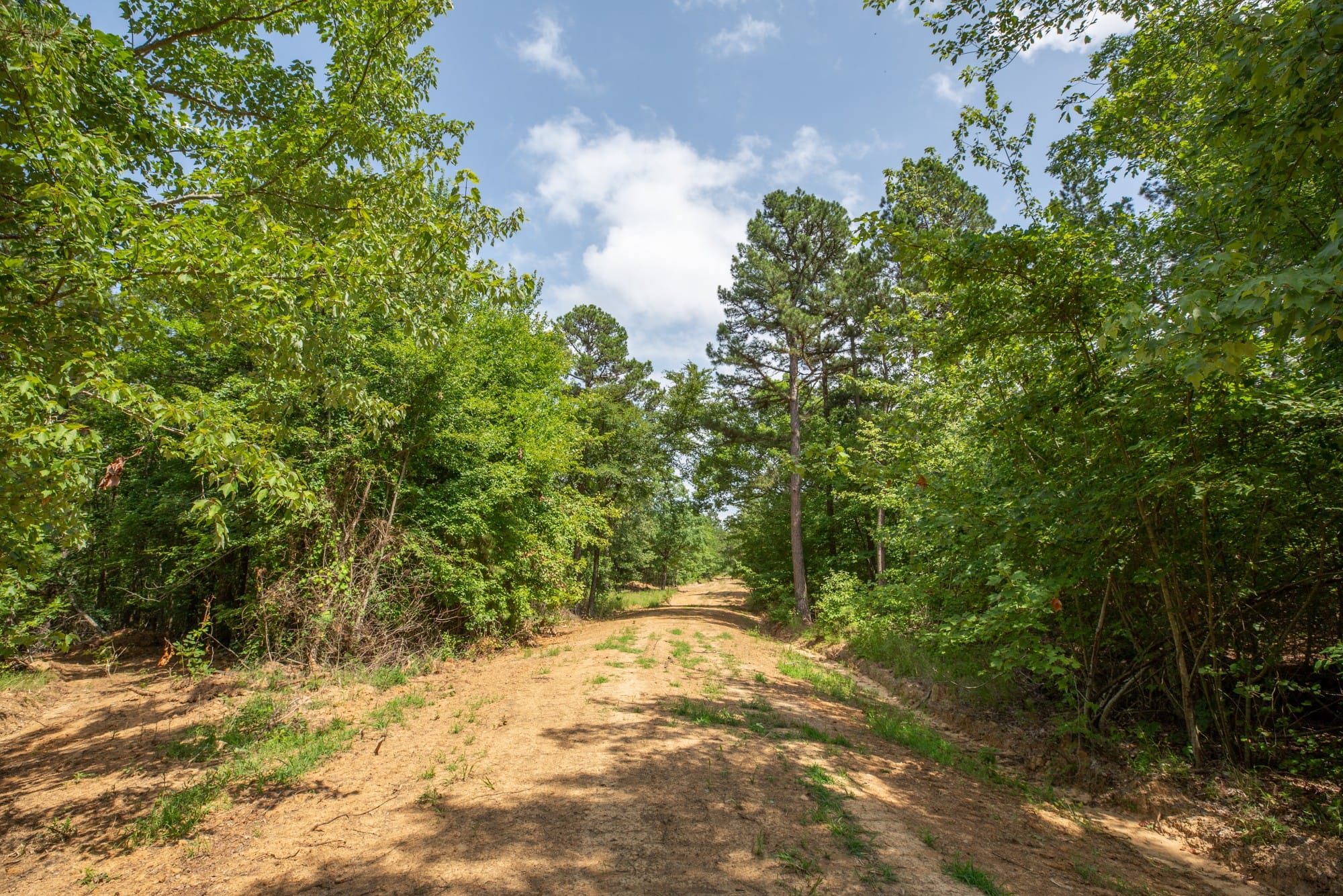 Eagle’s Nest Tract 30 photo 11