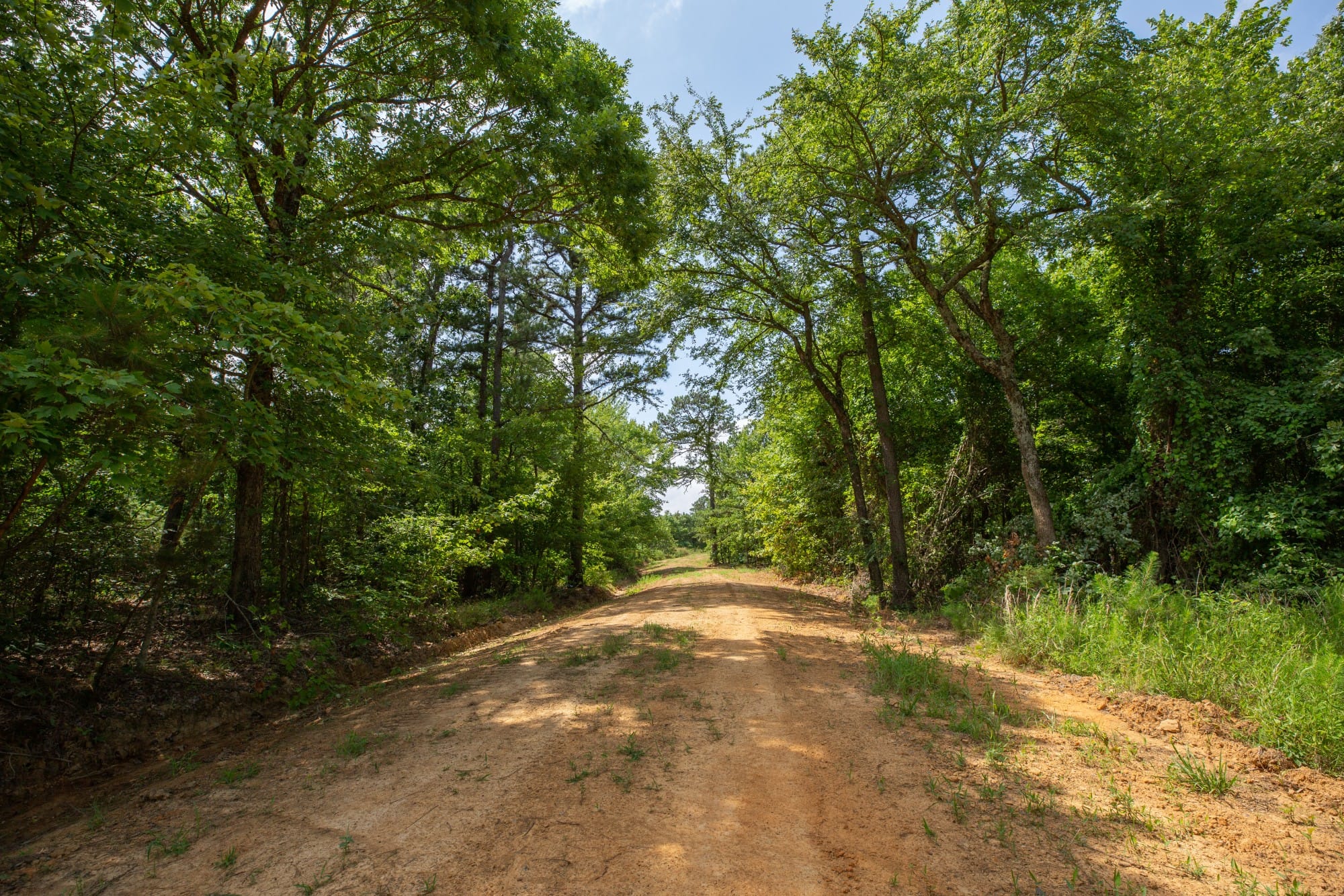 Eagle’s Nest Tract 30 photo 16