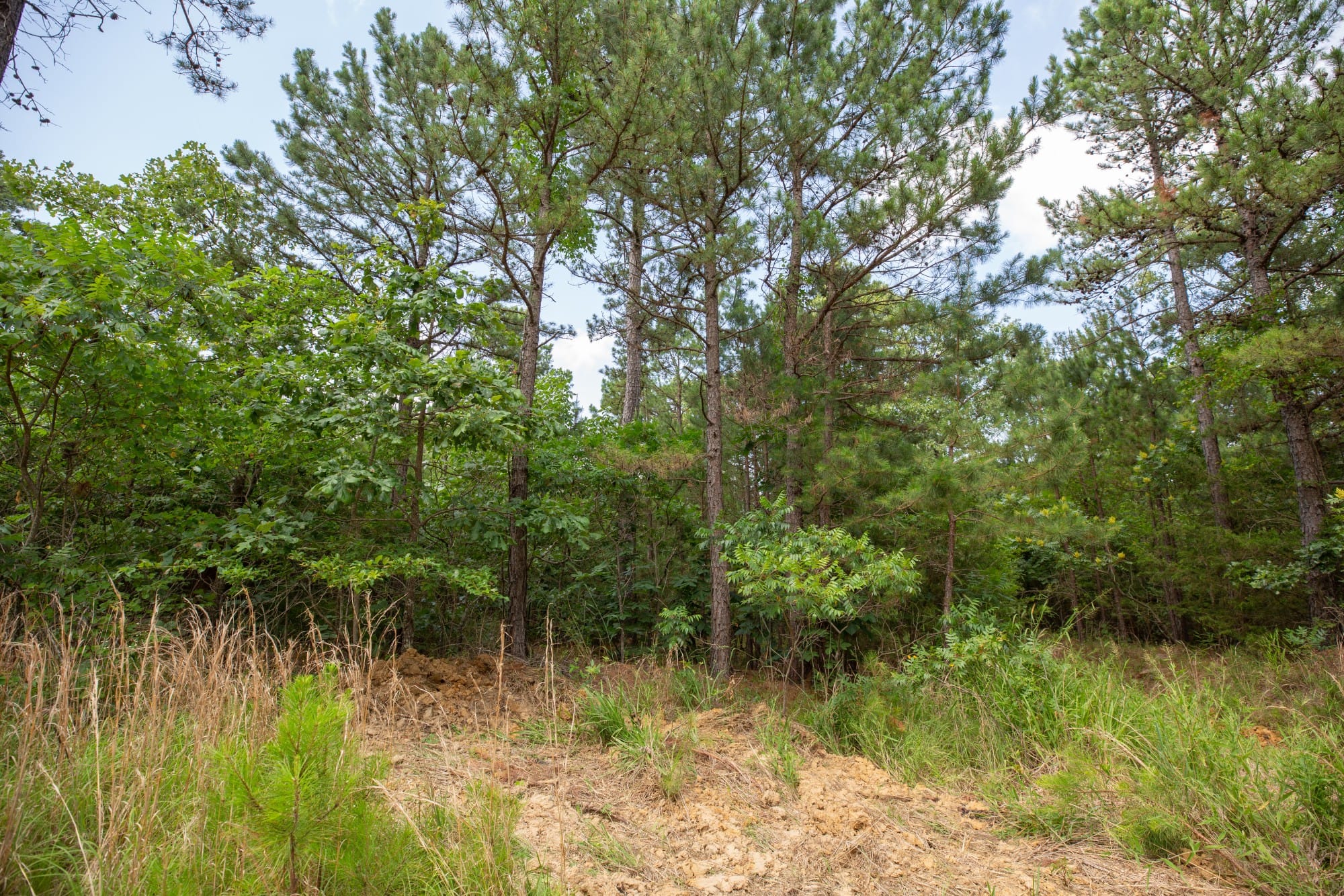 Eagle’s Nest Tract 30 photo 19