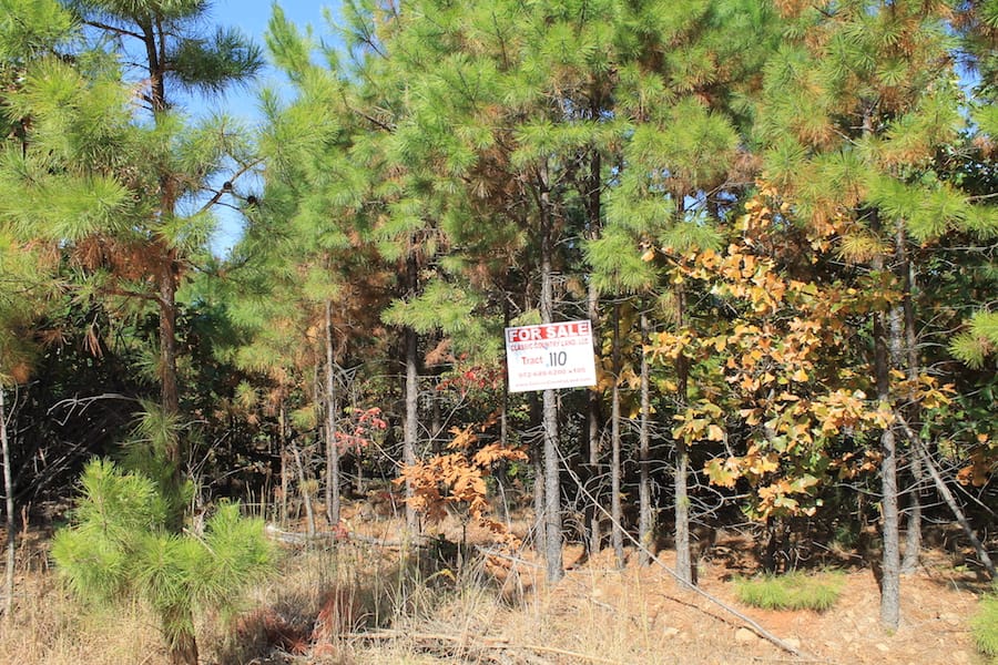 Indian Ridge – Phase III Tract 110 photo 1