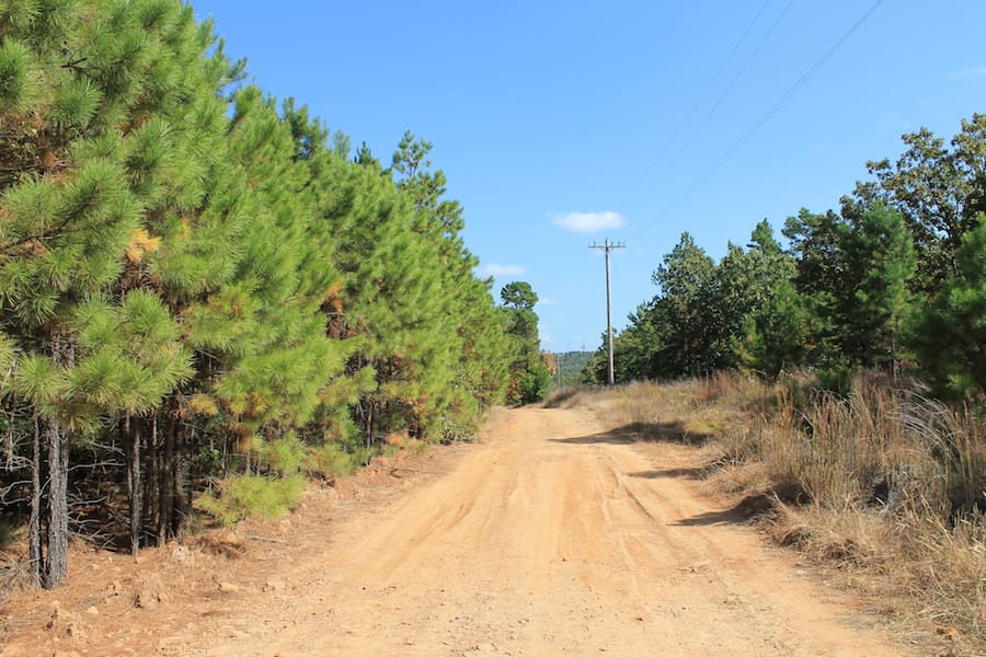 Indian Ridge – Phase III Tract 110 photo 2