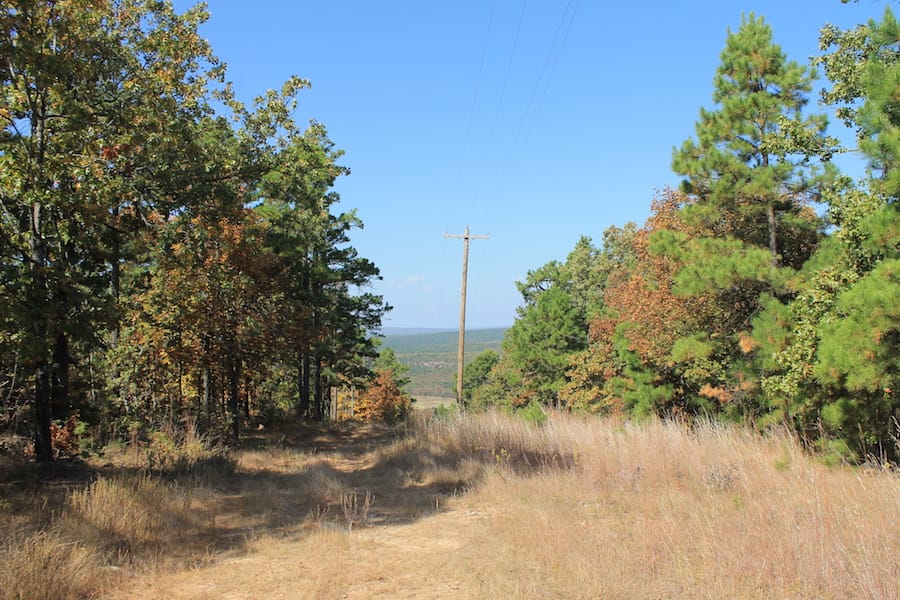 Indian Ridge – Phase III Tract 110 photo 3