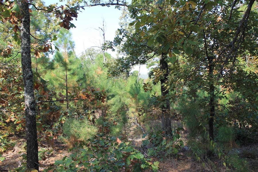 Indian Ridge – Phase III Tract 110 photo 6