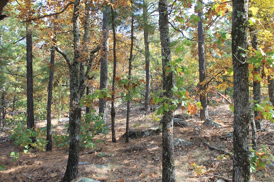 Indian Ridge – Phase III Tract 110 photo 8