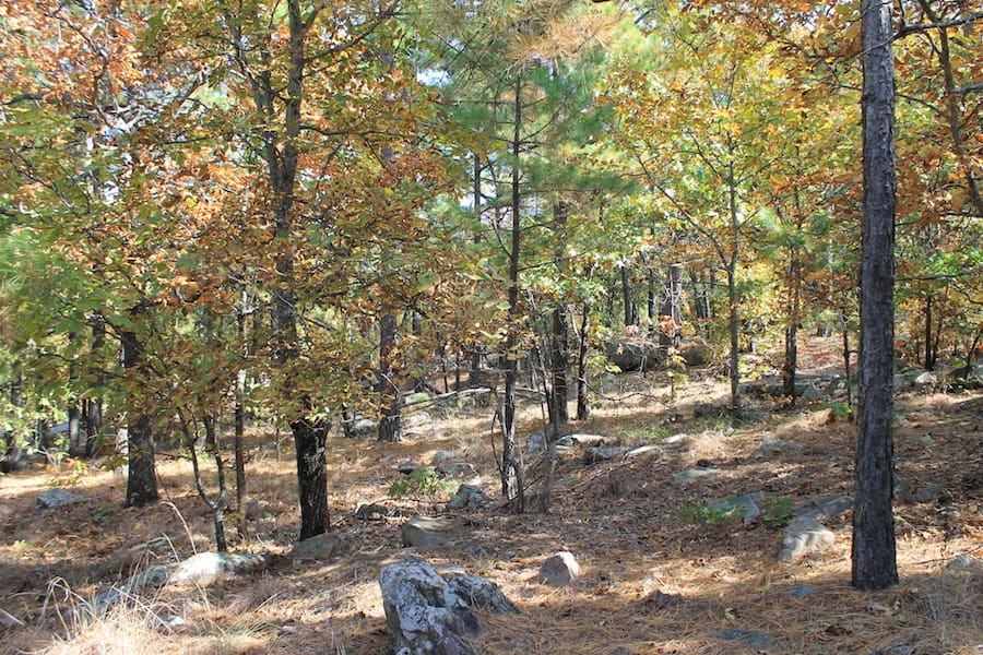 Indian Ridge – Phase III Tract 110 photo 10
