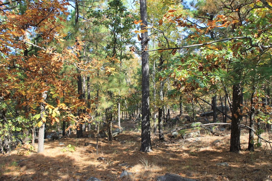 Indian Ridge – Phase III Tract 110 photo 11
