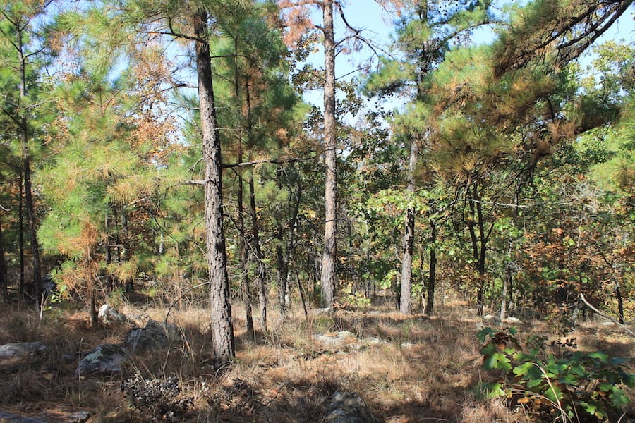 Indian Ridge – Phase III Tract 110 photo 12