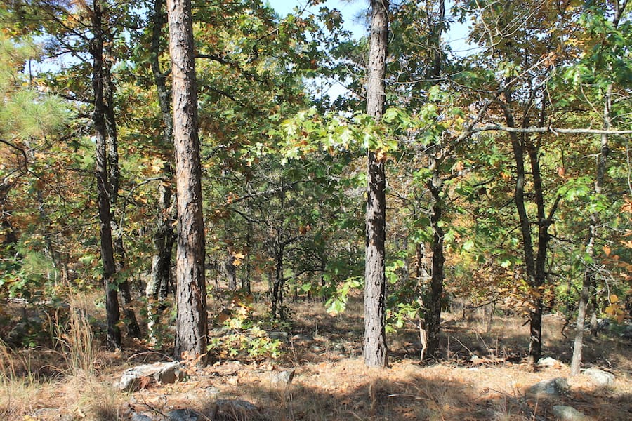 Indian Ridge – Phase III Tract 110 photo 14