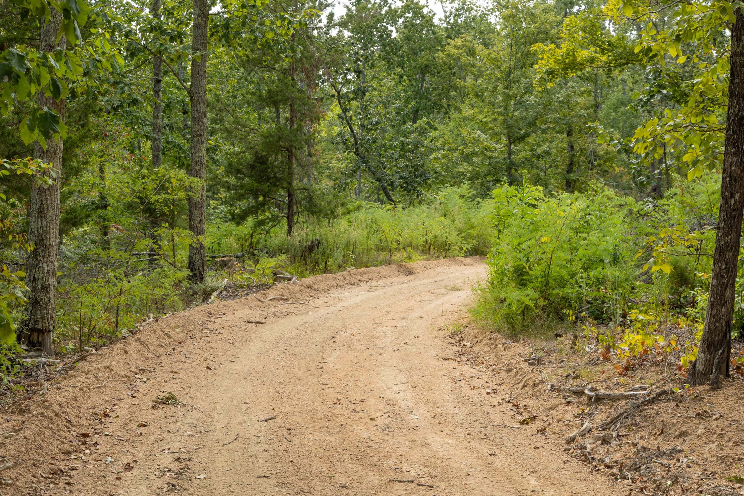 Big White Oak Tract 72 photo 3