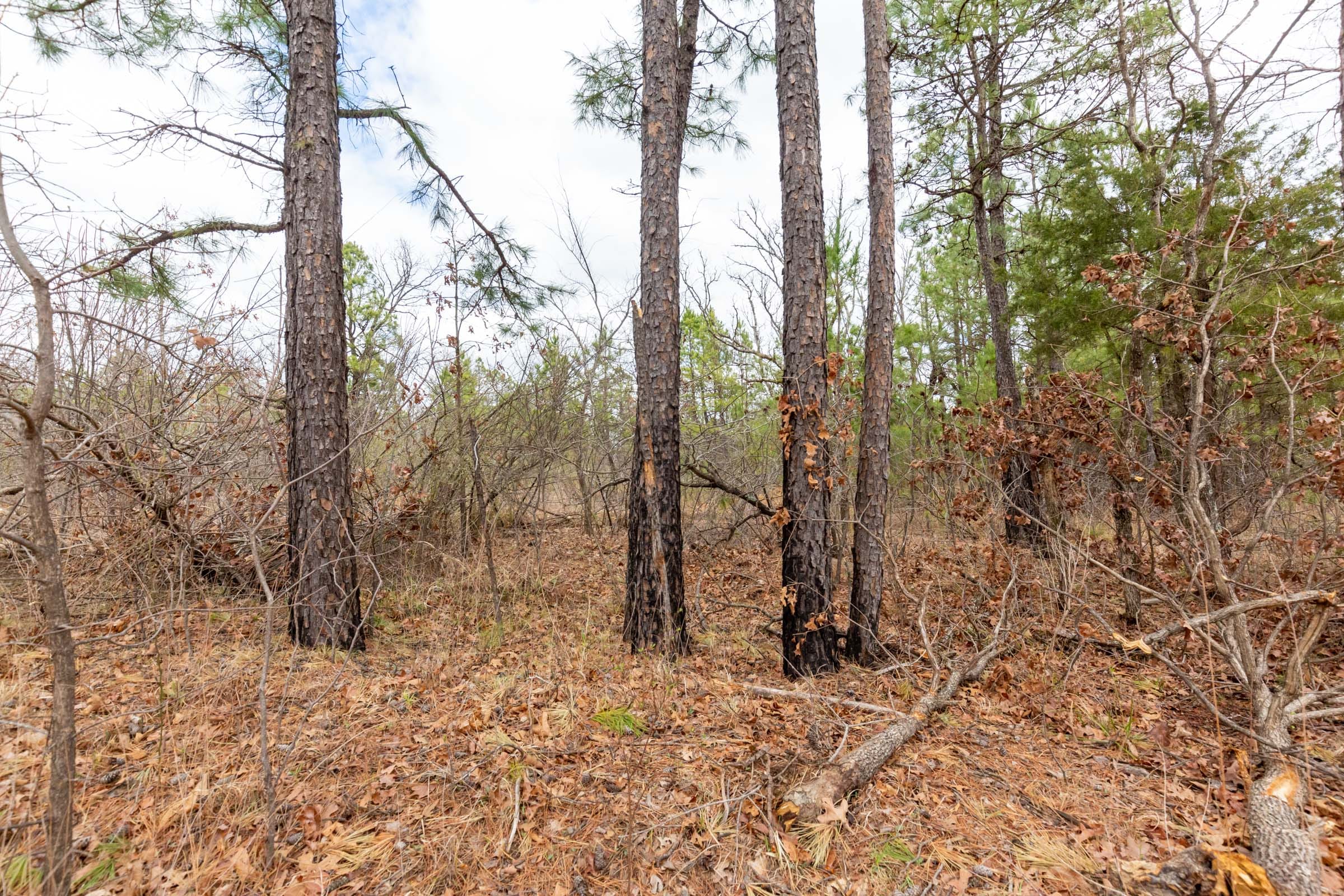 Stone Bridge Phase III Tract 214 photo 1