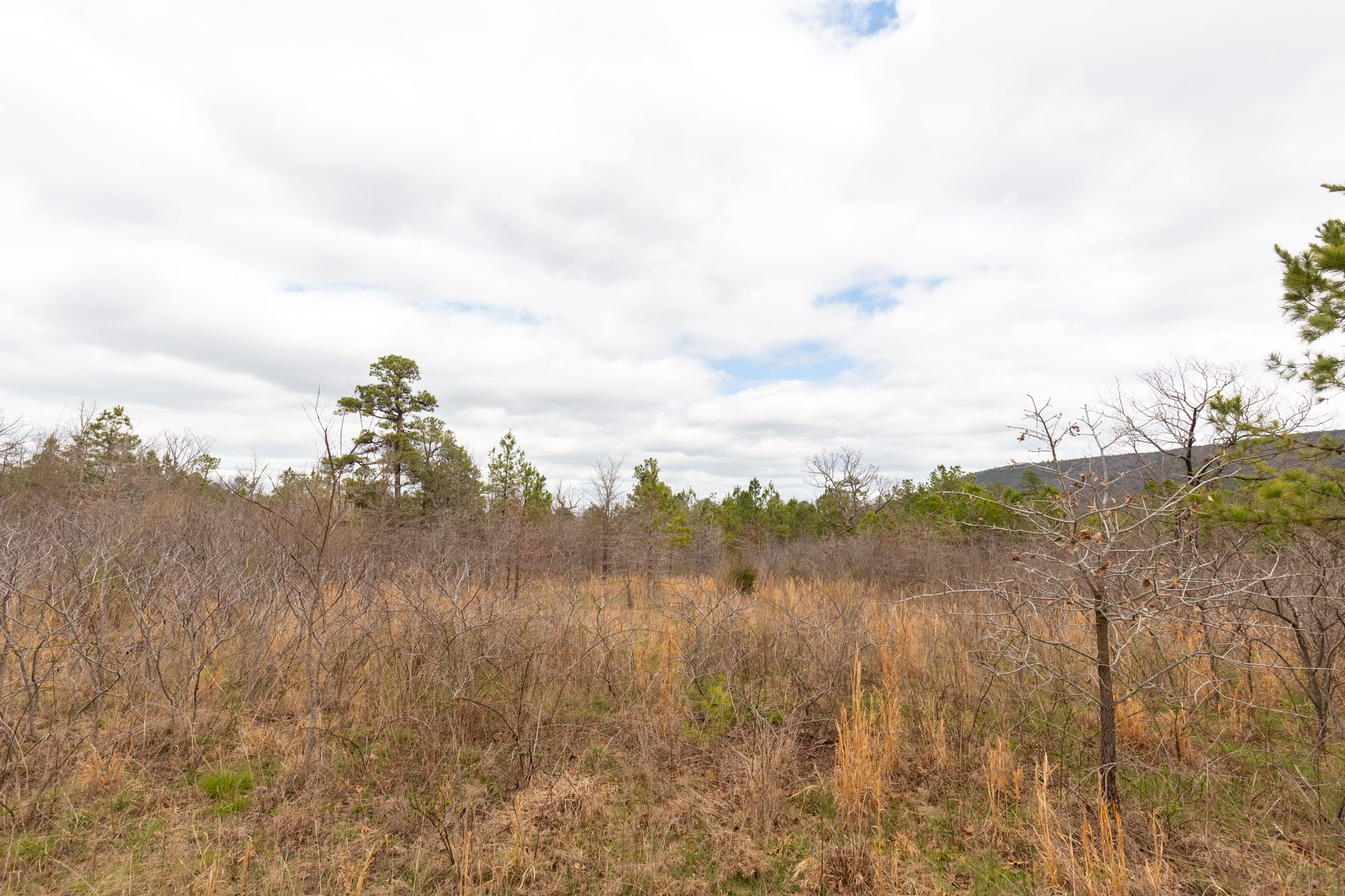 Stone Bridge Phase III Tract 214 photo 8