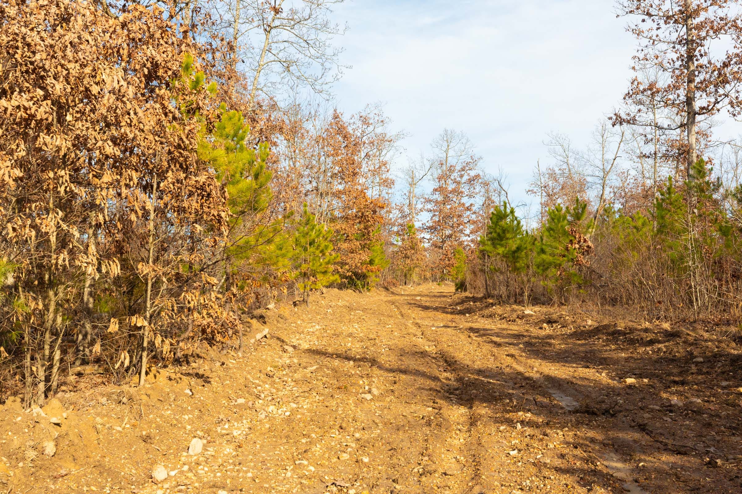 Windy Ridge Tract 6 photo 8