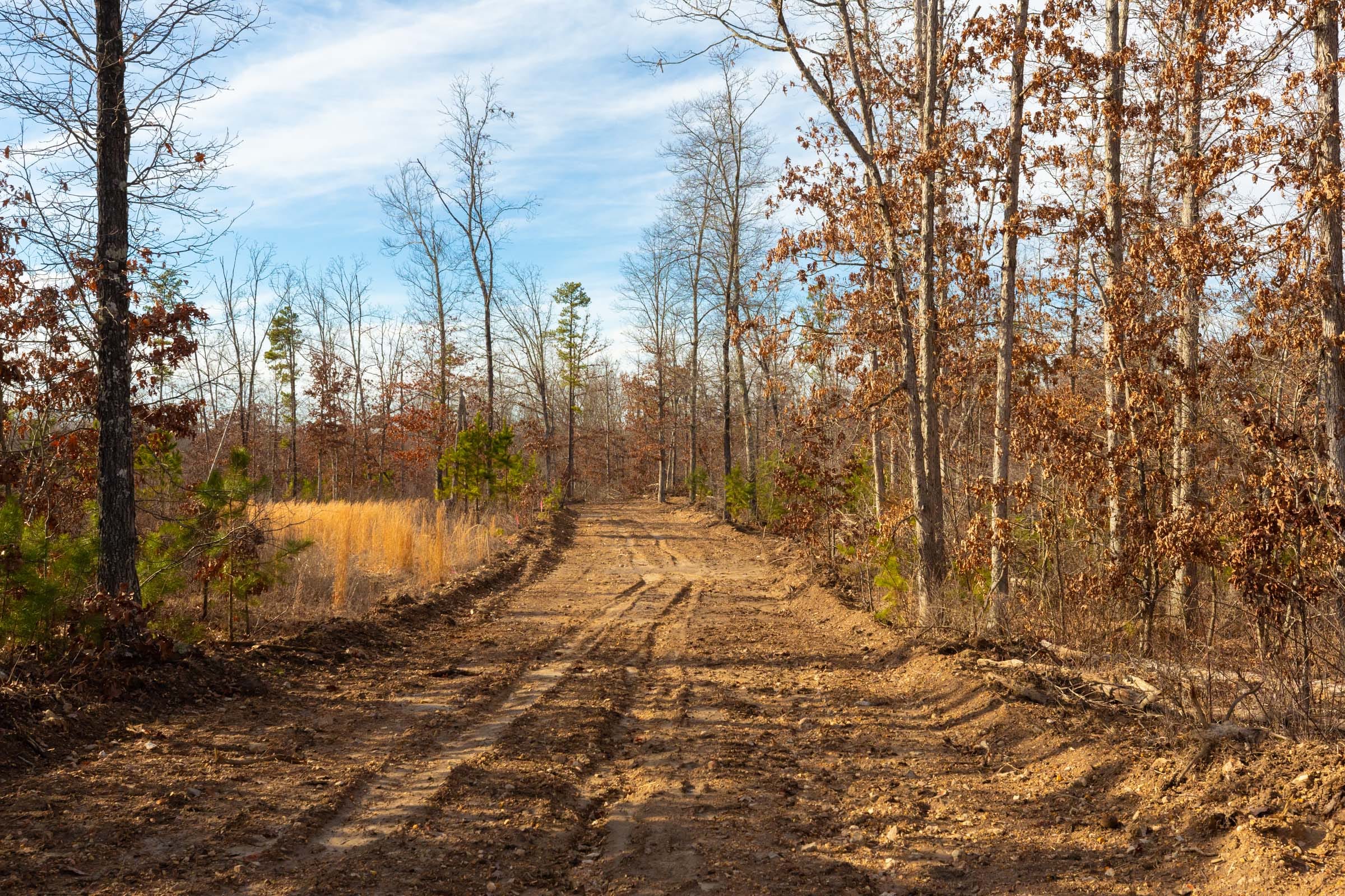 Windy Ridge Tract 6 photo 1