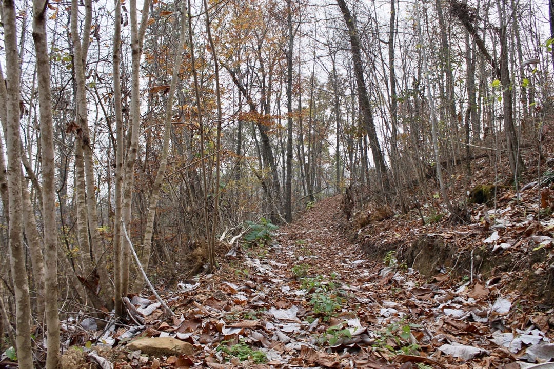 Autumn Ridge Tract 13 photo 3