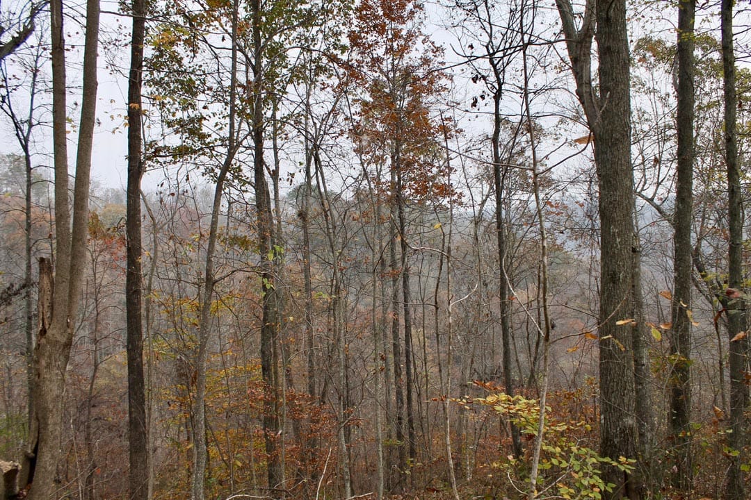 Autumn Ridge Tract 13 photo 16