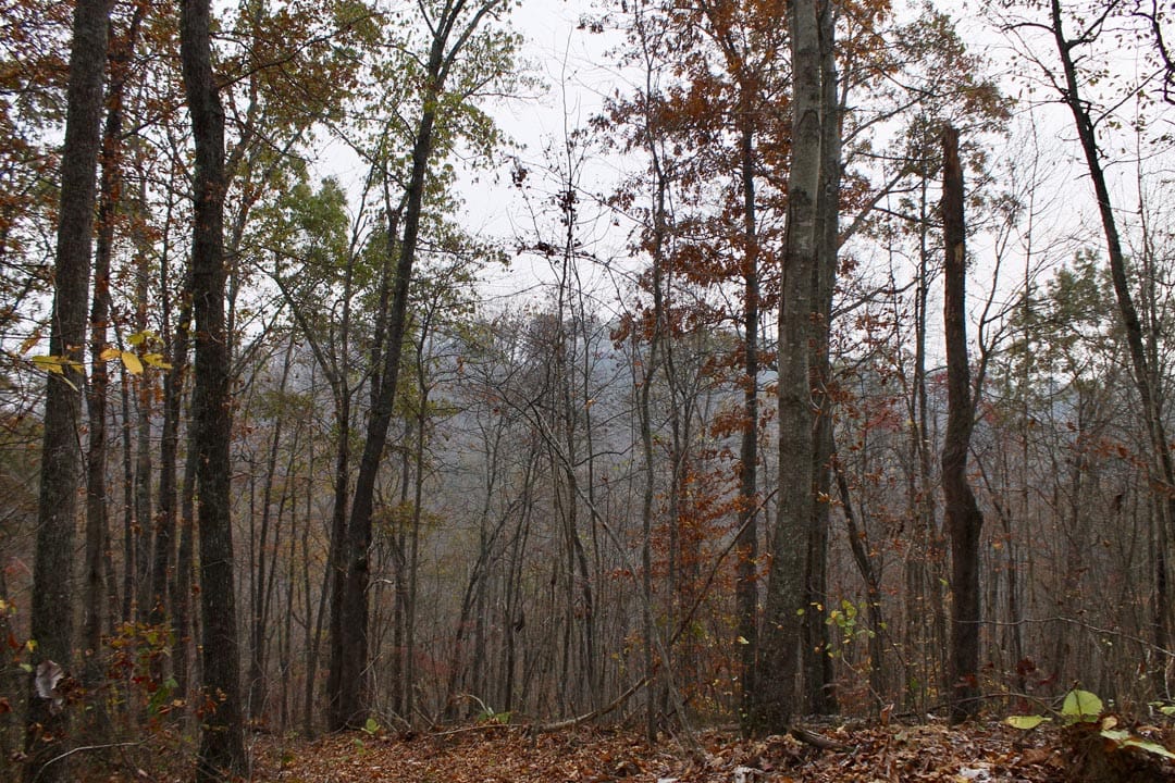 Autumn Ridge Tract 13 photo 17