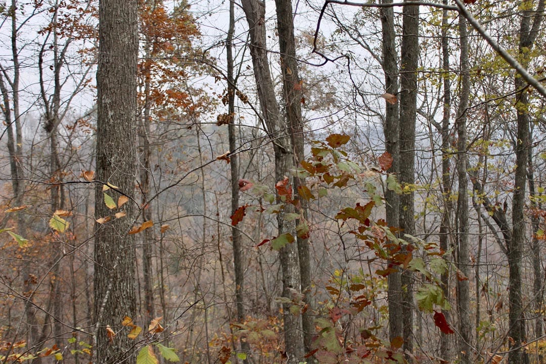 Autumn Ridge Tract 13 photo 19