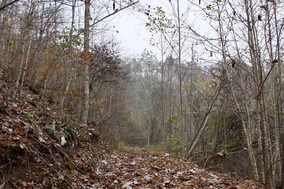 Autumn Ridge Tract 13 photo 20