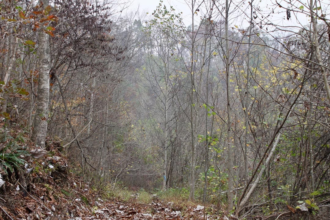 Autumn Ridge Tract 13 photo 21