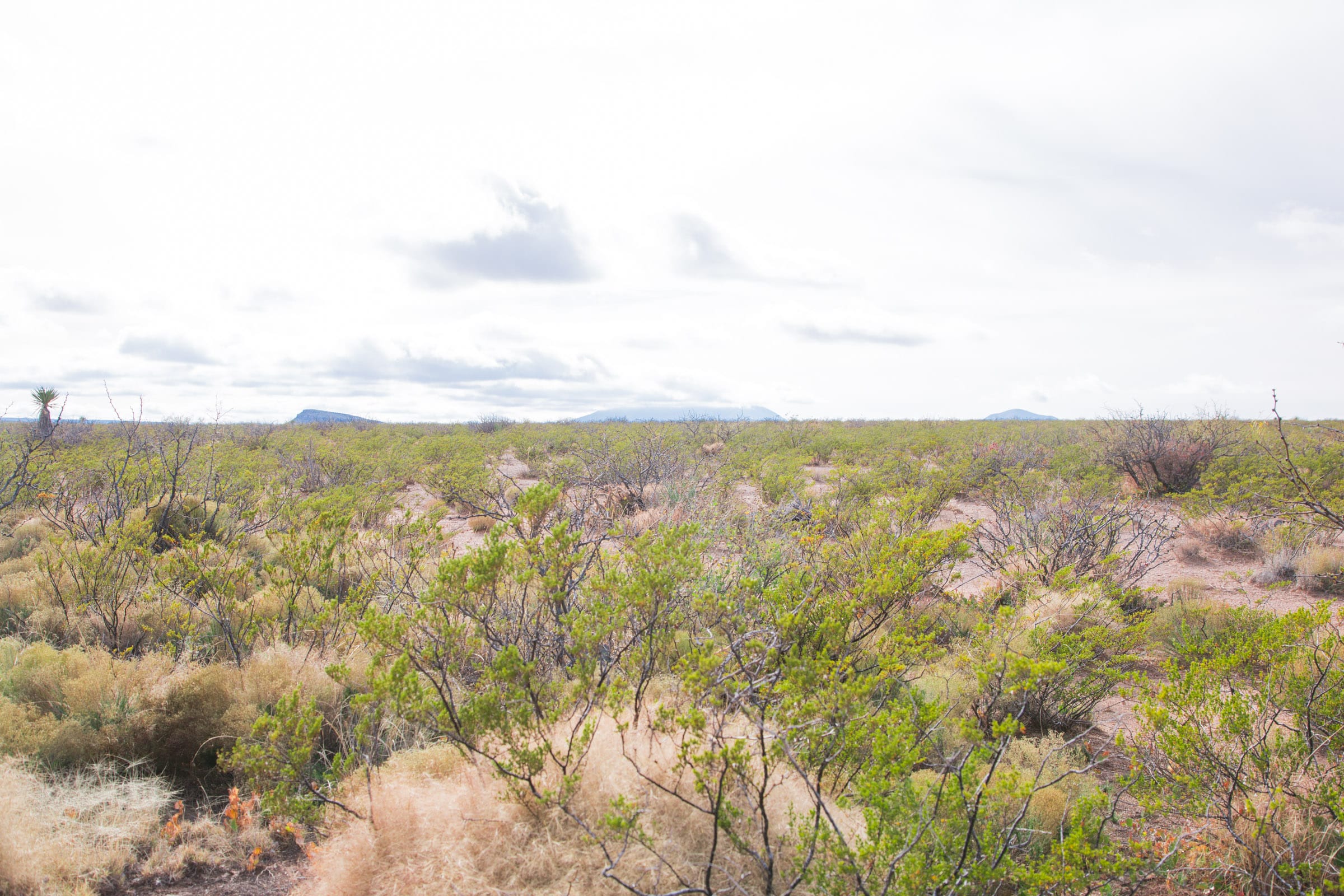 Sunset Ranches Tract 16 photo 5