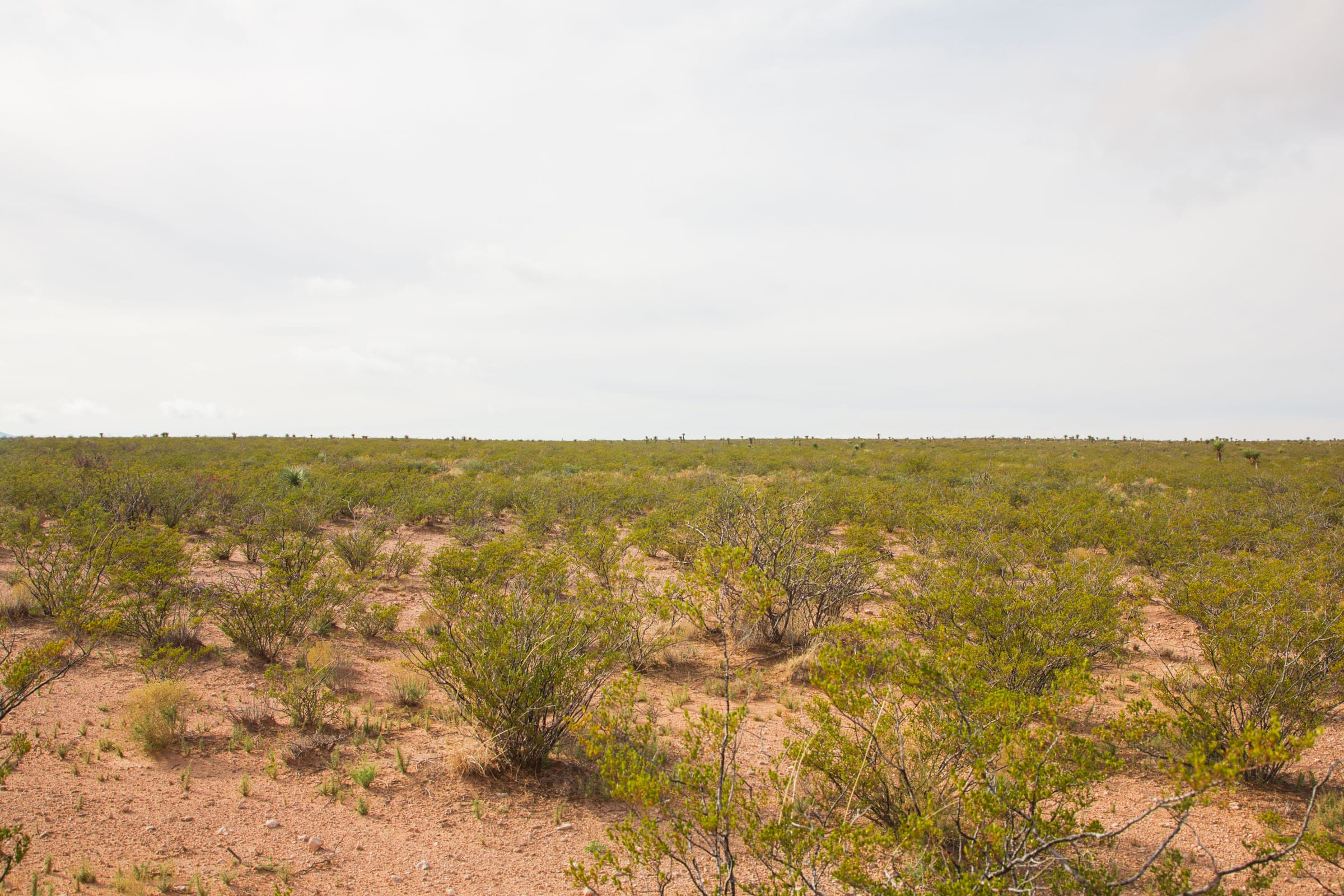 Sunset Ranches Tract 16 photo 7