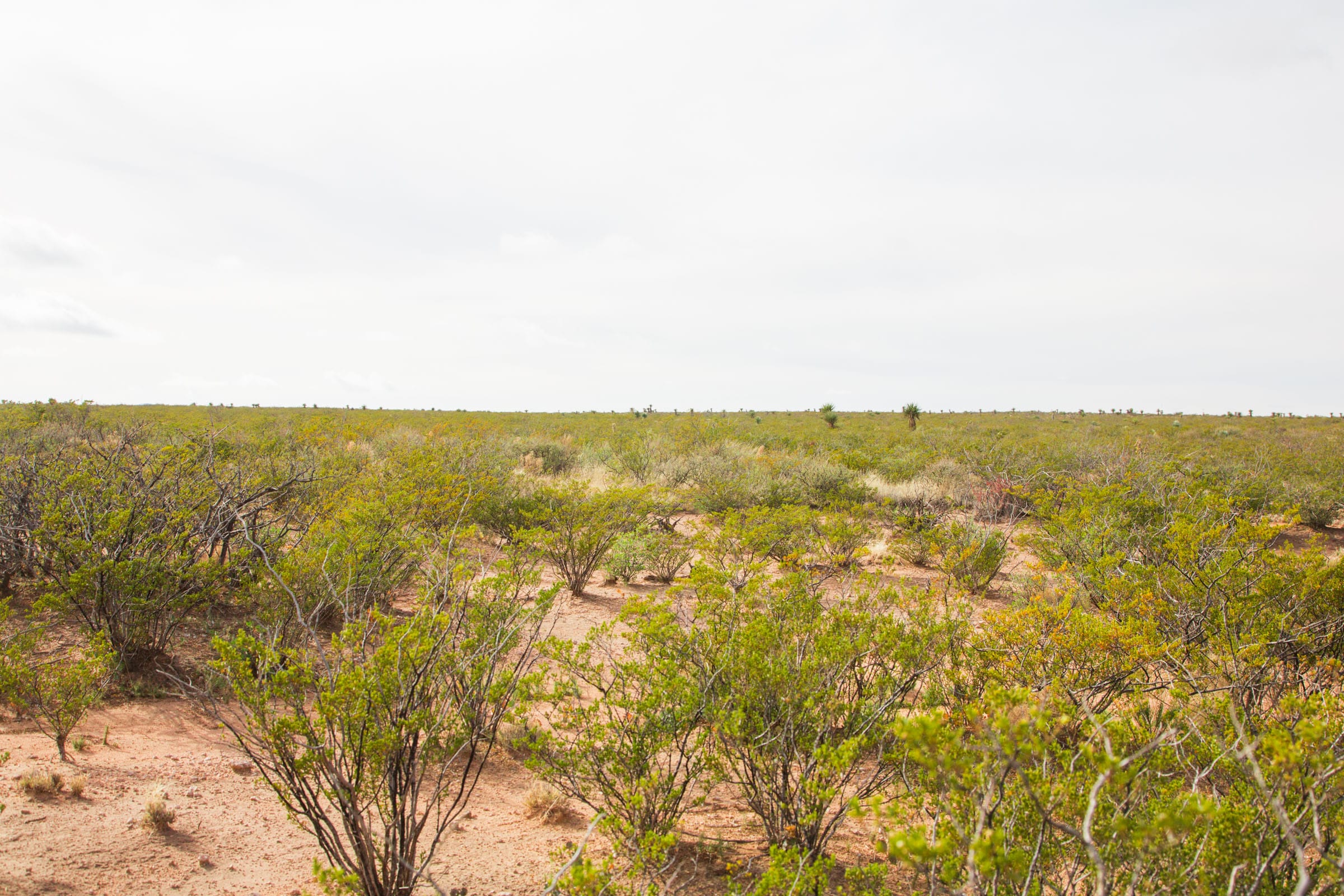 Sunset Ranches Tract 16 photo 9