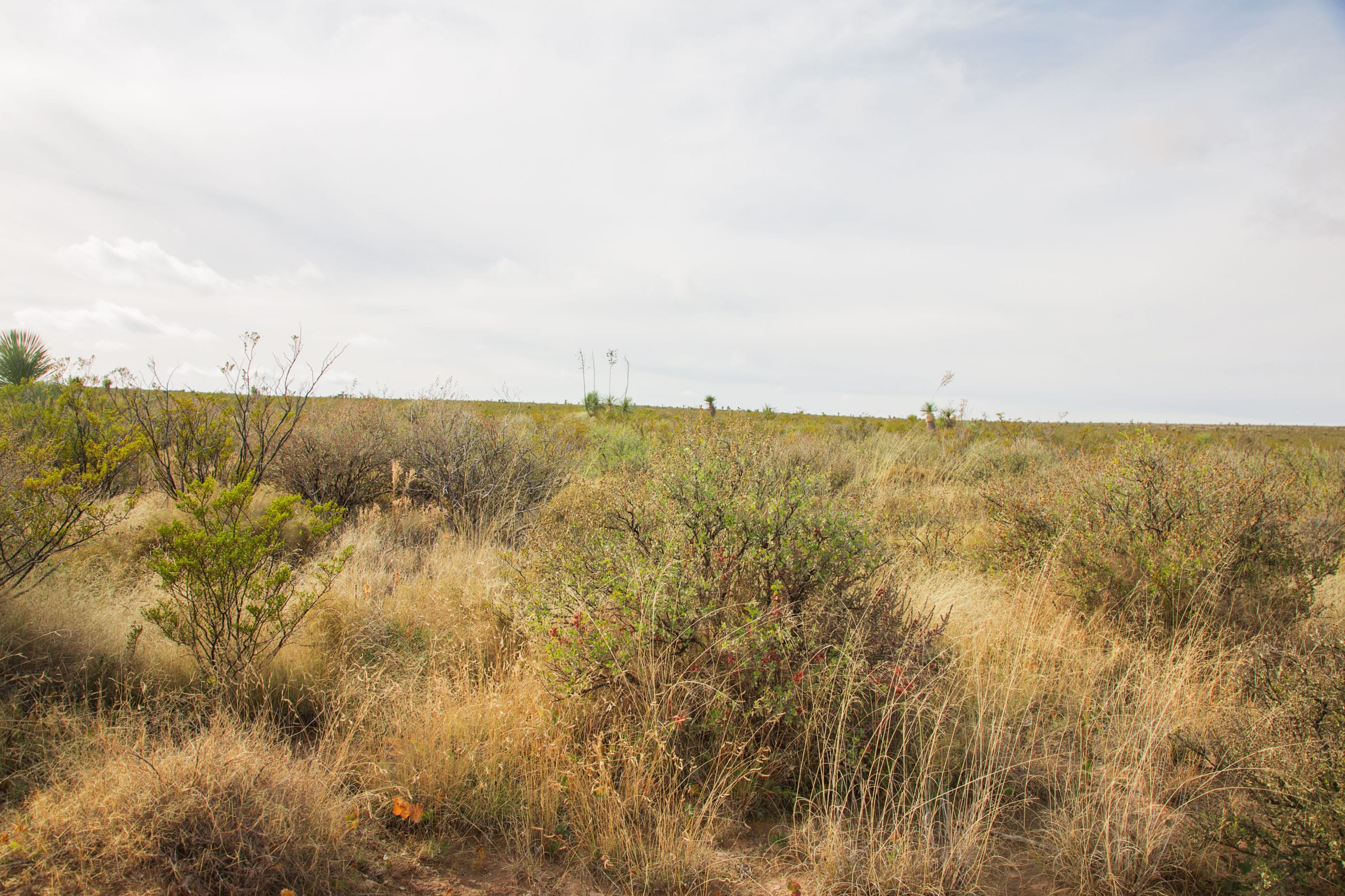 Sunset Ranches Tract 16 photo 10