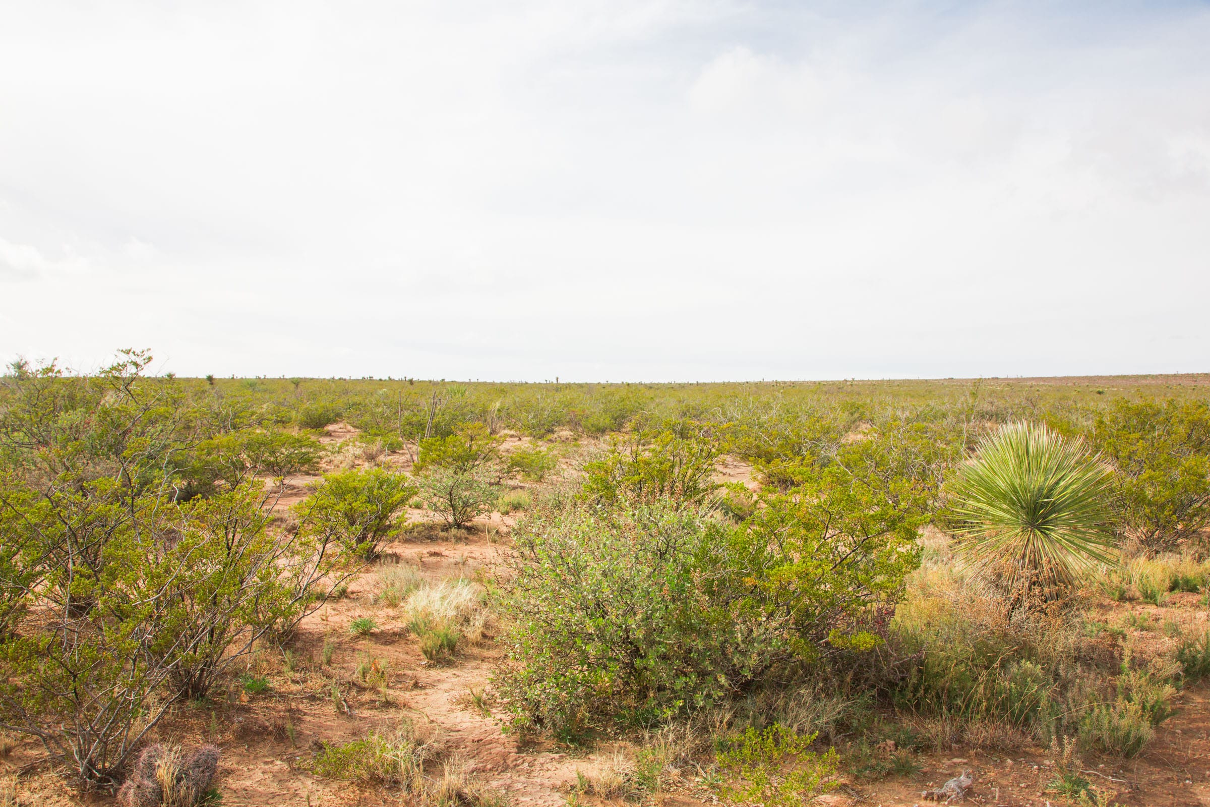 Sunset Ranches Tract 16 photo 14