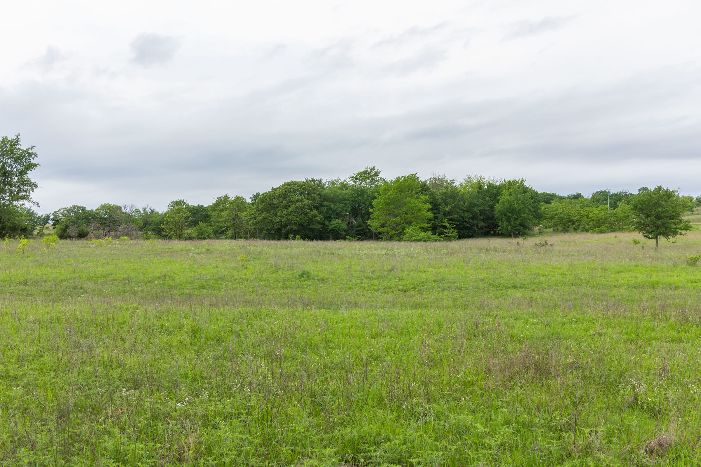 Harmony Hills Tract 13 photo 7