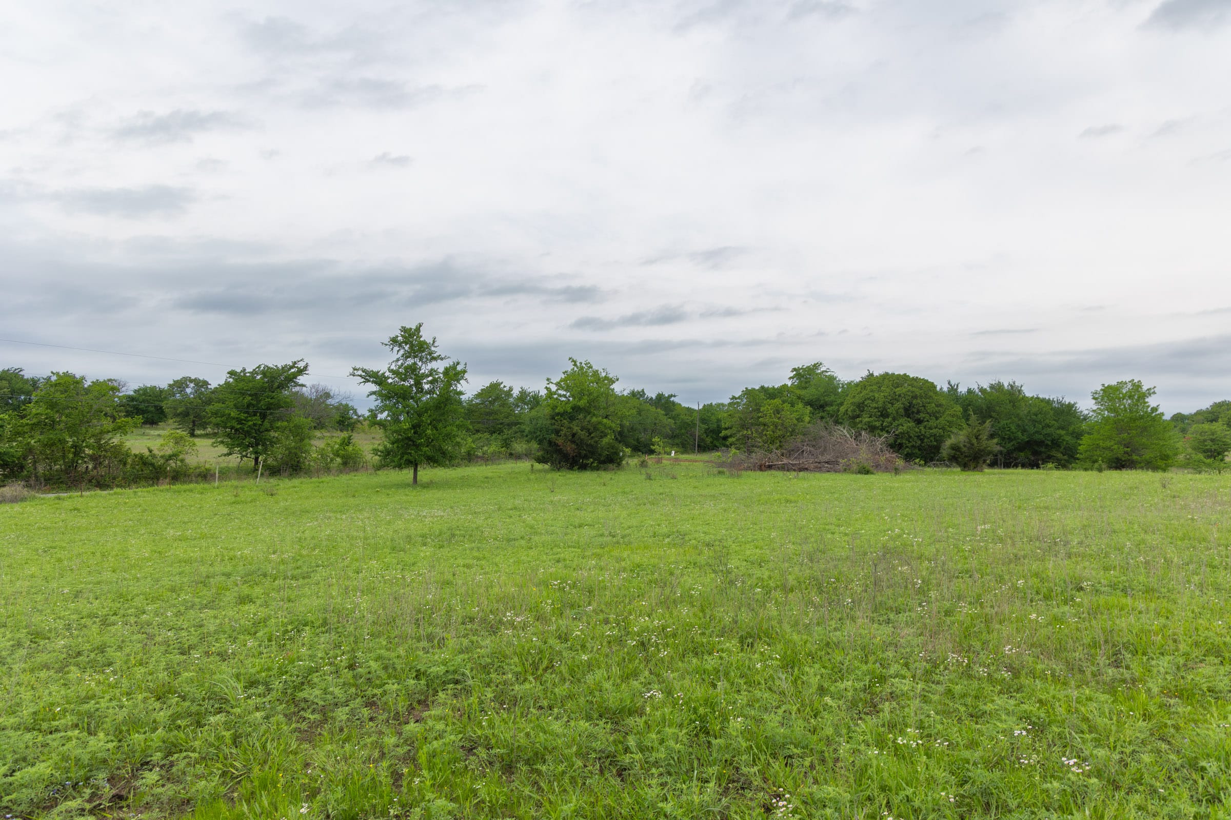 Harmony Hills Tract 13 photo 8