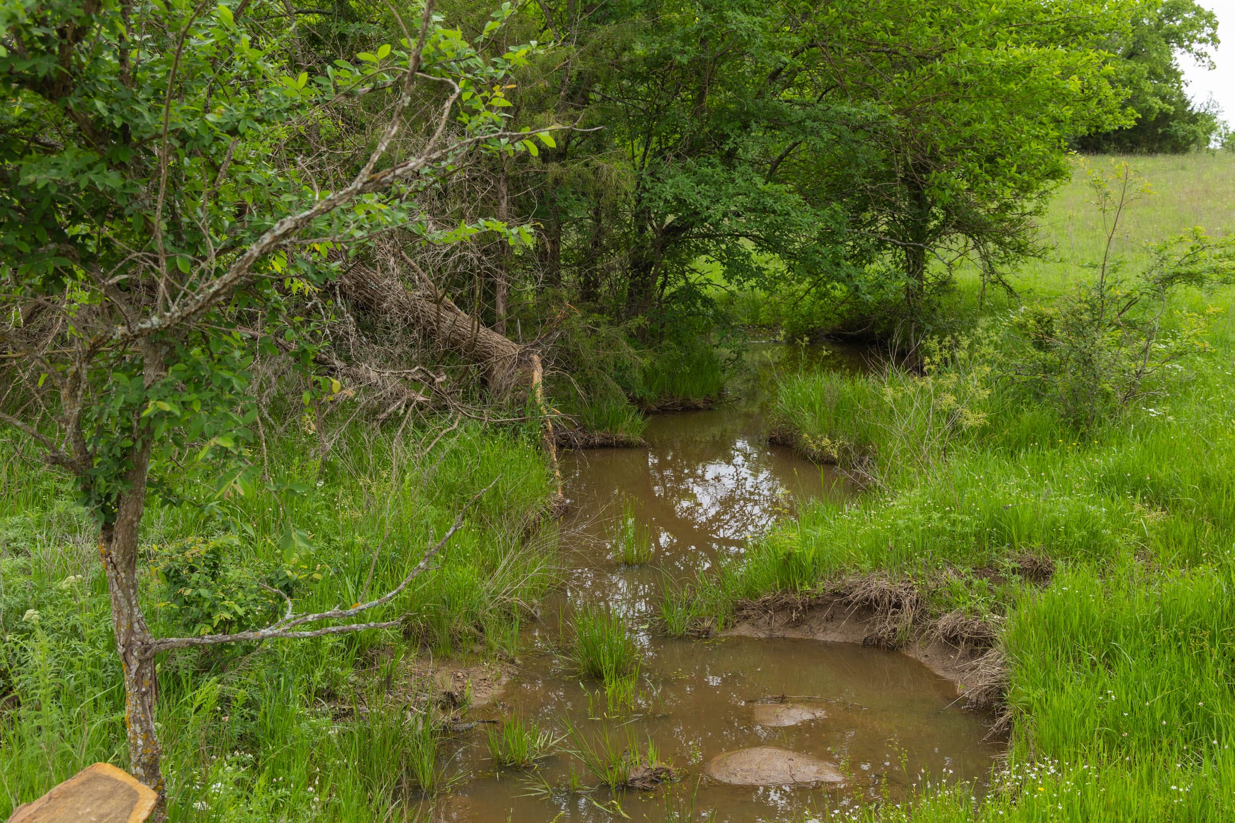 Harmony Hills Tract 13 photo 2