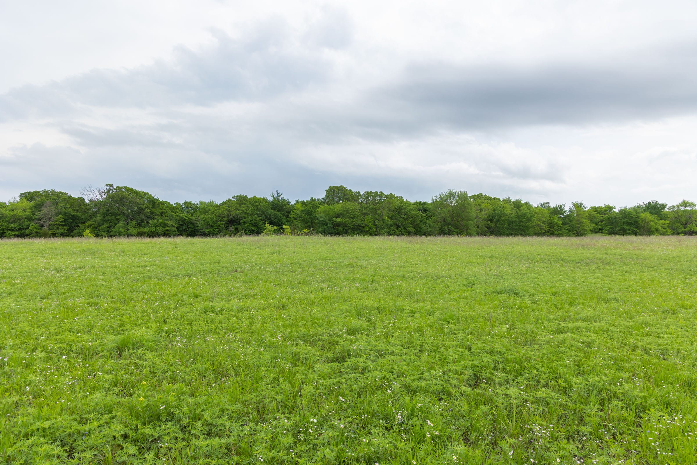 Harmony Hills Tract 13 photo 11