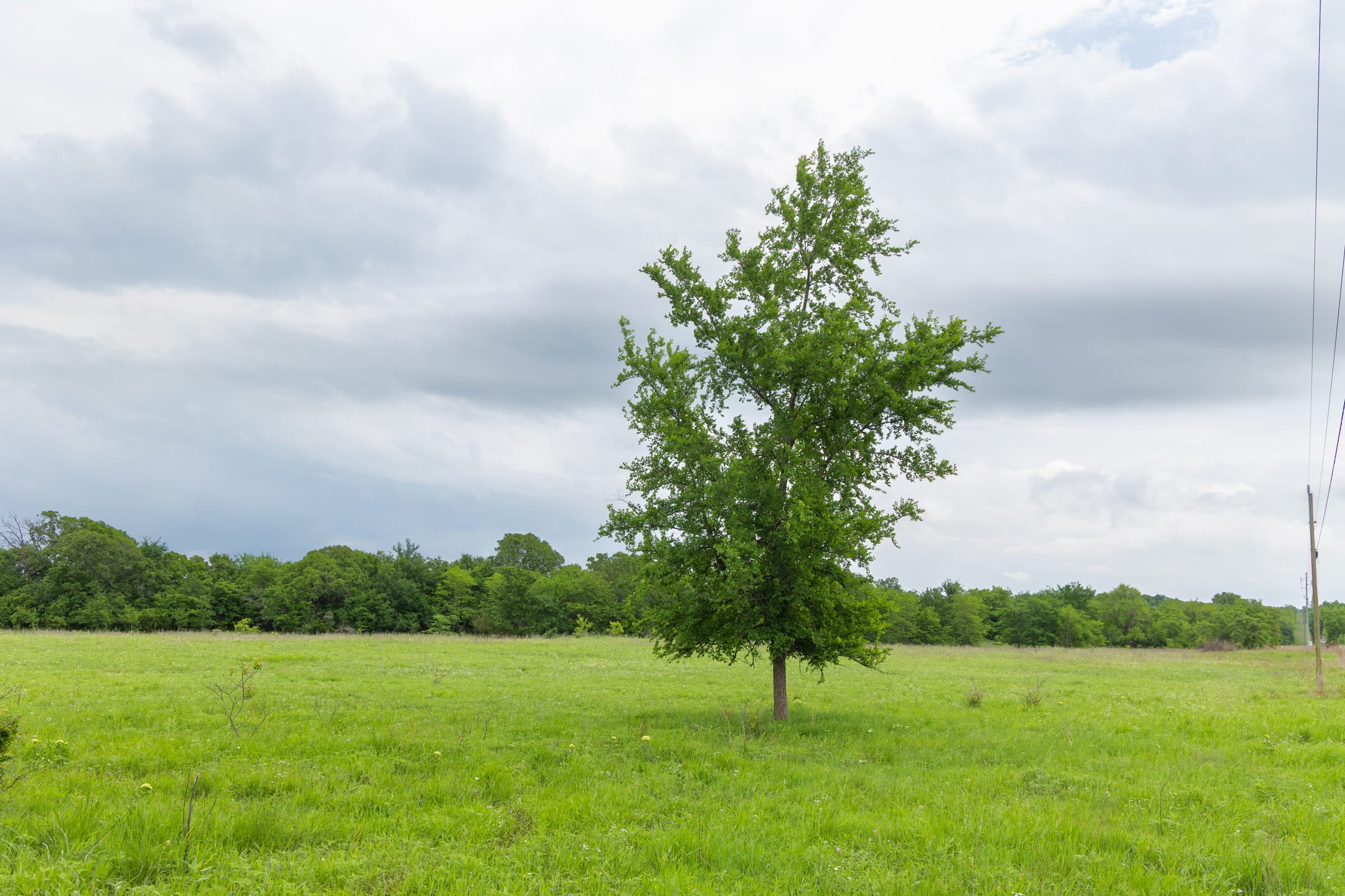 Harmony Hills Tract 13 photo 10