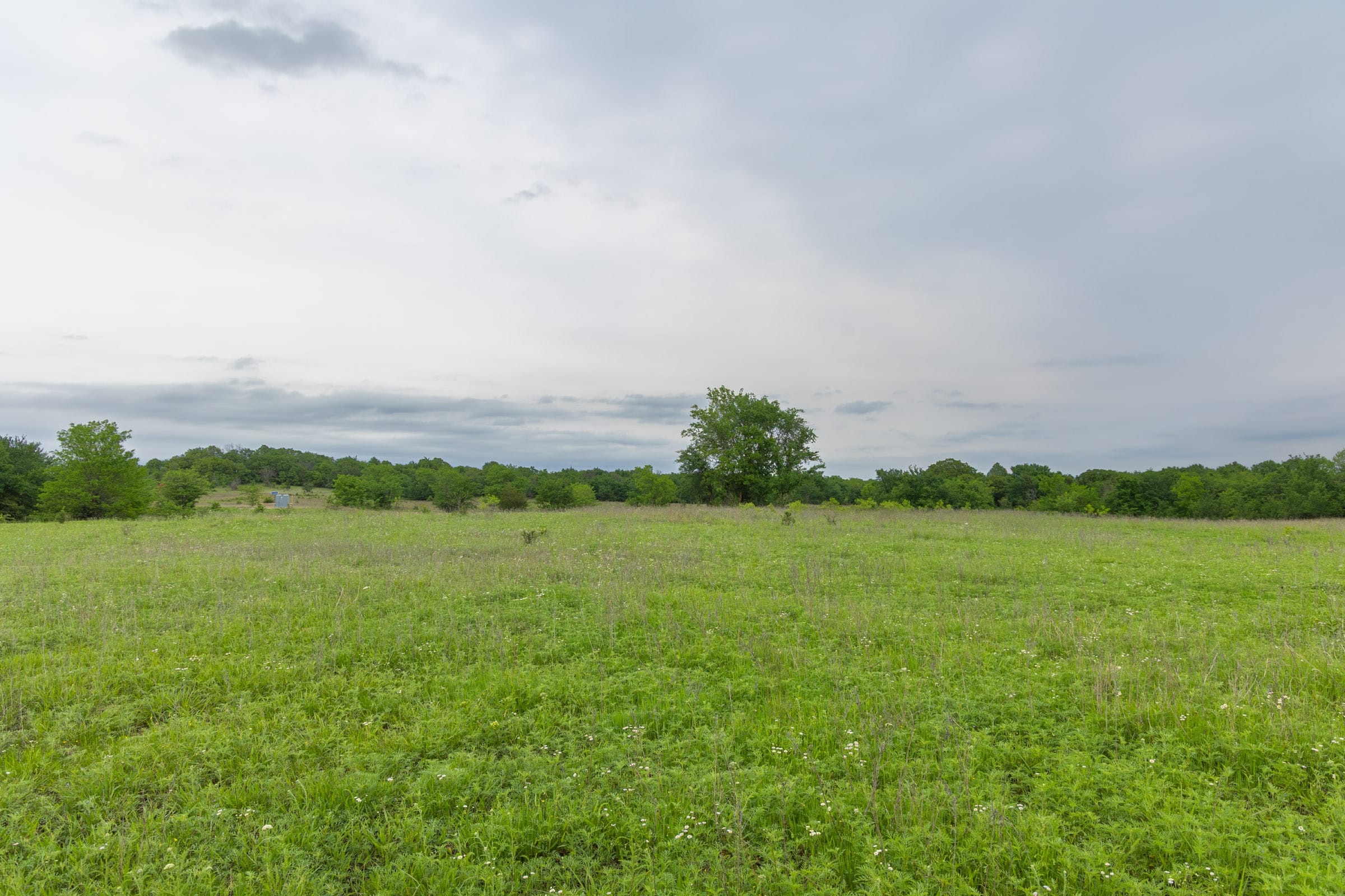 Harmony Hills Tract 13 photo 13