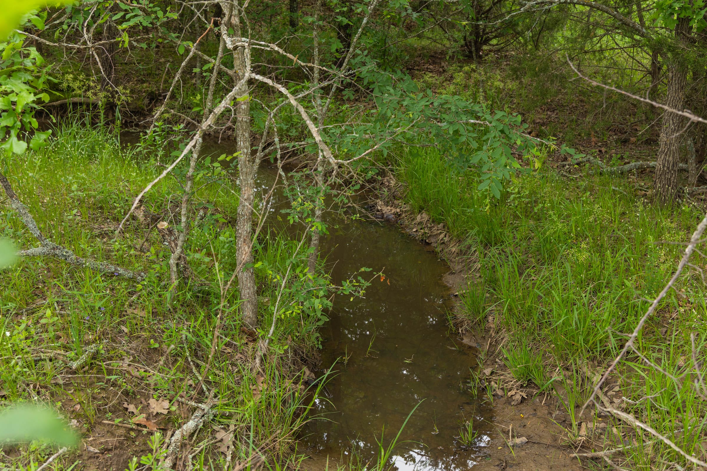 Harmony Hills Tract 13 photo 4
