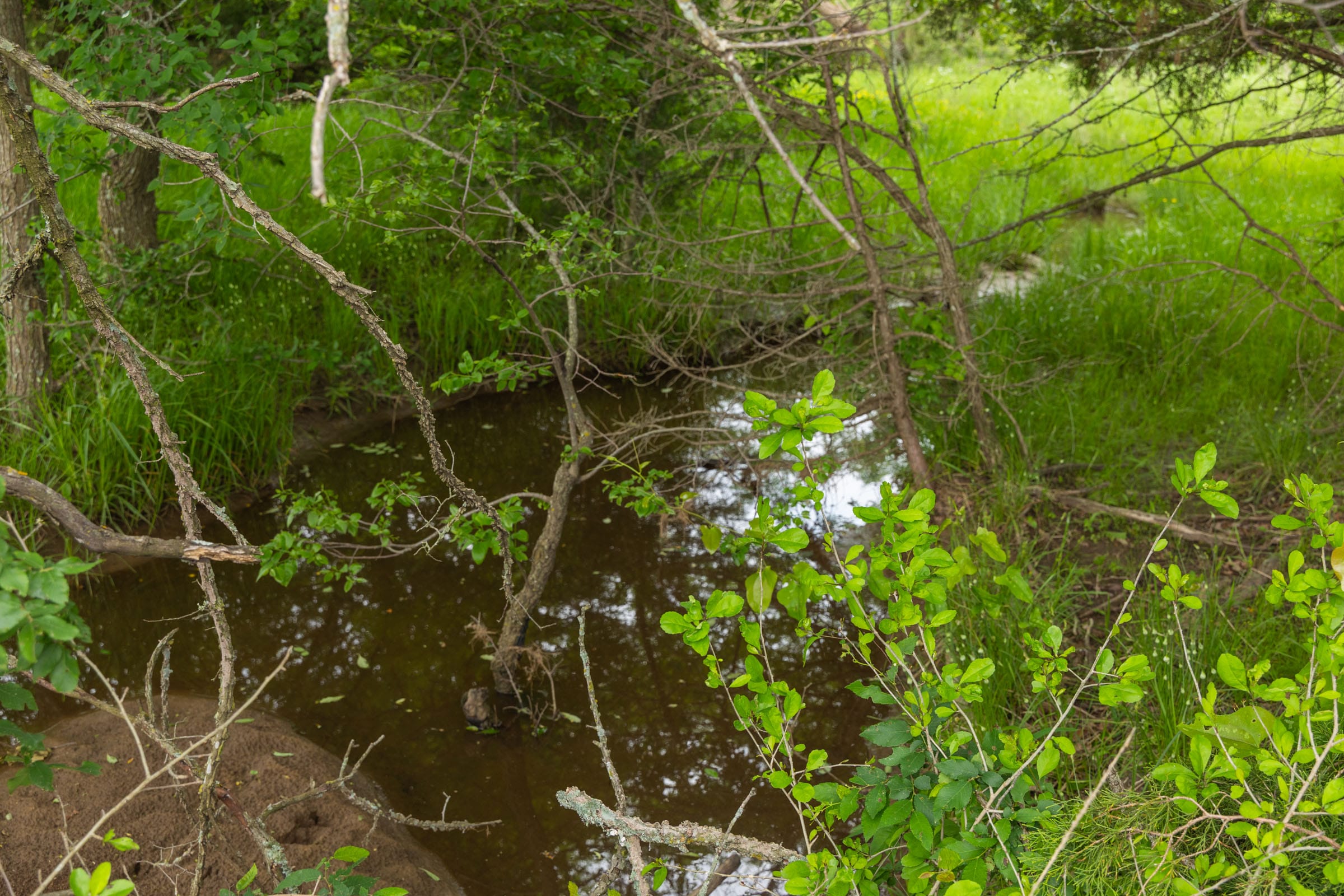 Harmony Hills Tract 13 photo 15