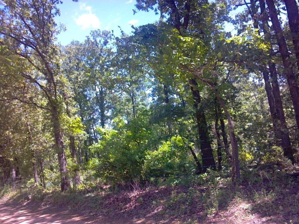 Barnes Hollow Tract 9 photo 1