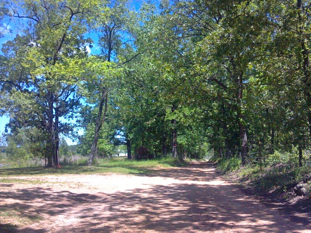 Barnes Hollow Tract 9 photo 2