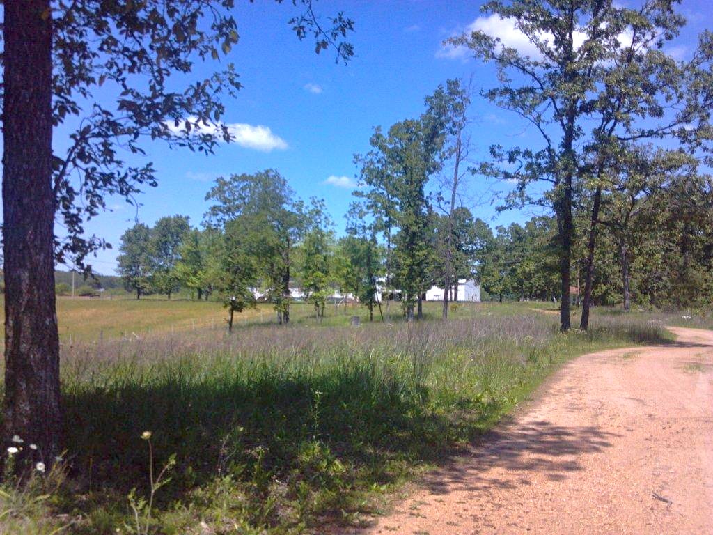 Barnes Hollow Tract 9 photo 3