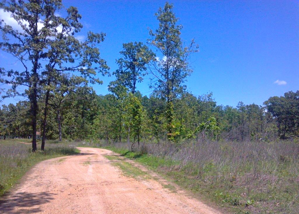 Barnes Hollow Tract 9 photo 4