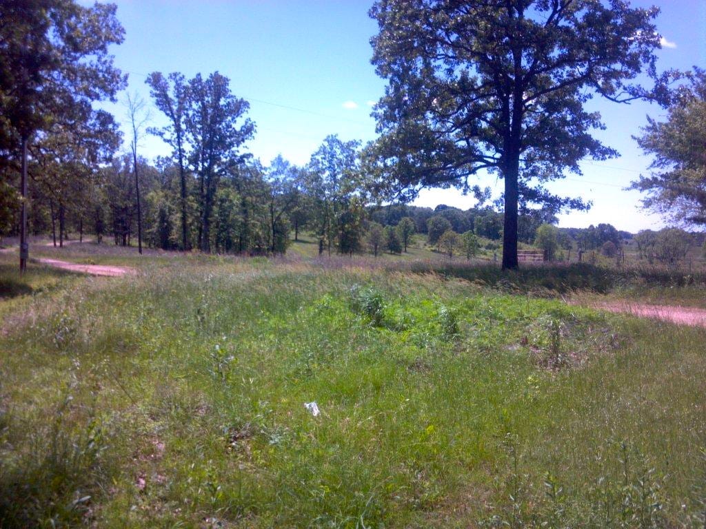 Barnes Hollow Tract 9 photo 6