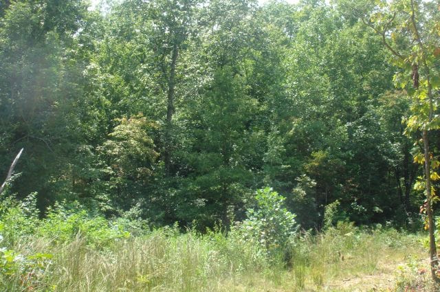 Sugartree Falls Tract 31 photo 2
