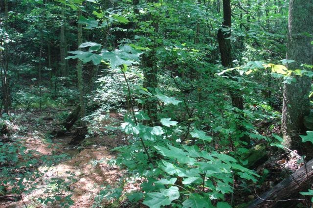 Sugartree Falls Tract 31 photo 4