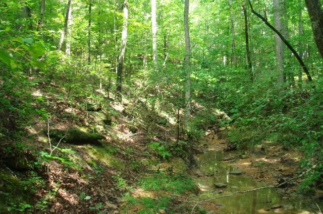 Sugartree Falls Tract 31 photo 5